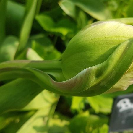 לינה וארוחת בוקר Hoymille Les Jardins מראה חיצוני תמונה